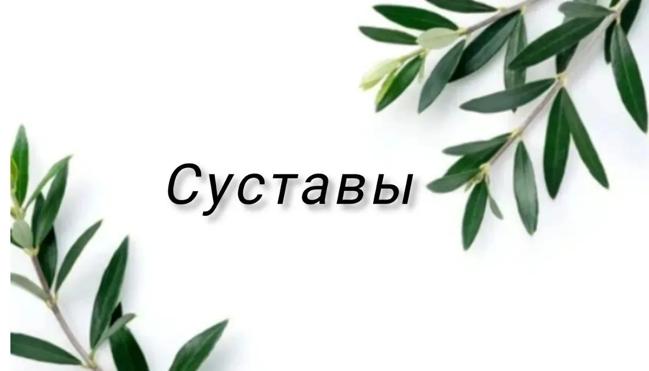Исследования по оливковому листу🌳🌿 и влияние на состояние суставов :