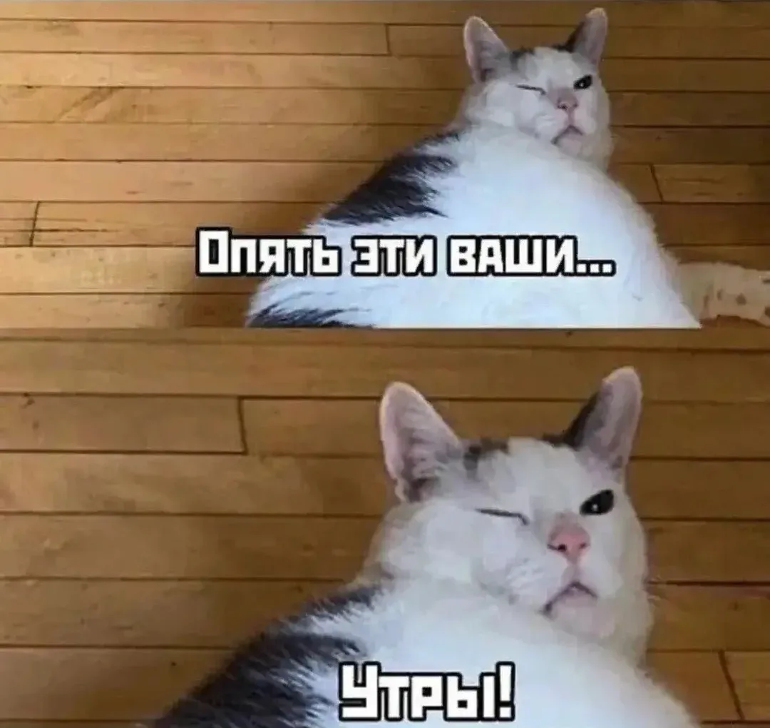 Начинаем бодро эту рабочую неделю 👩🏻‍💻
Готовимся к сделкам,  делаем читку договоров, получаем ипо