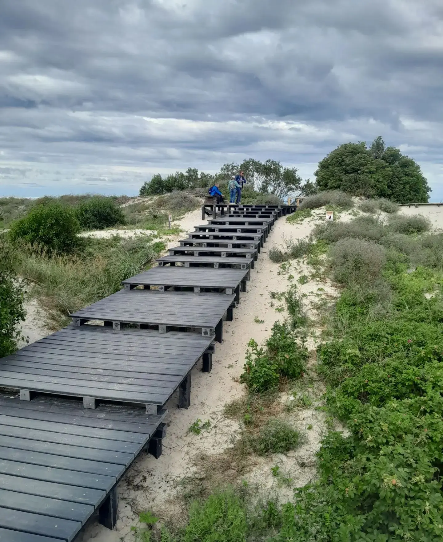 В национальном парке «Куршская коса» не прекращается работа по обновлению и ремонту туристической ин