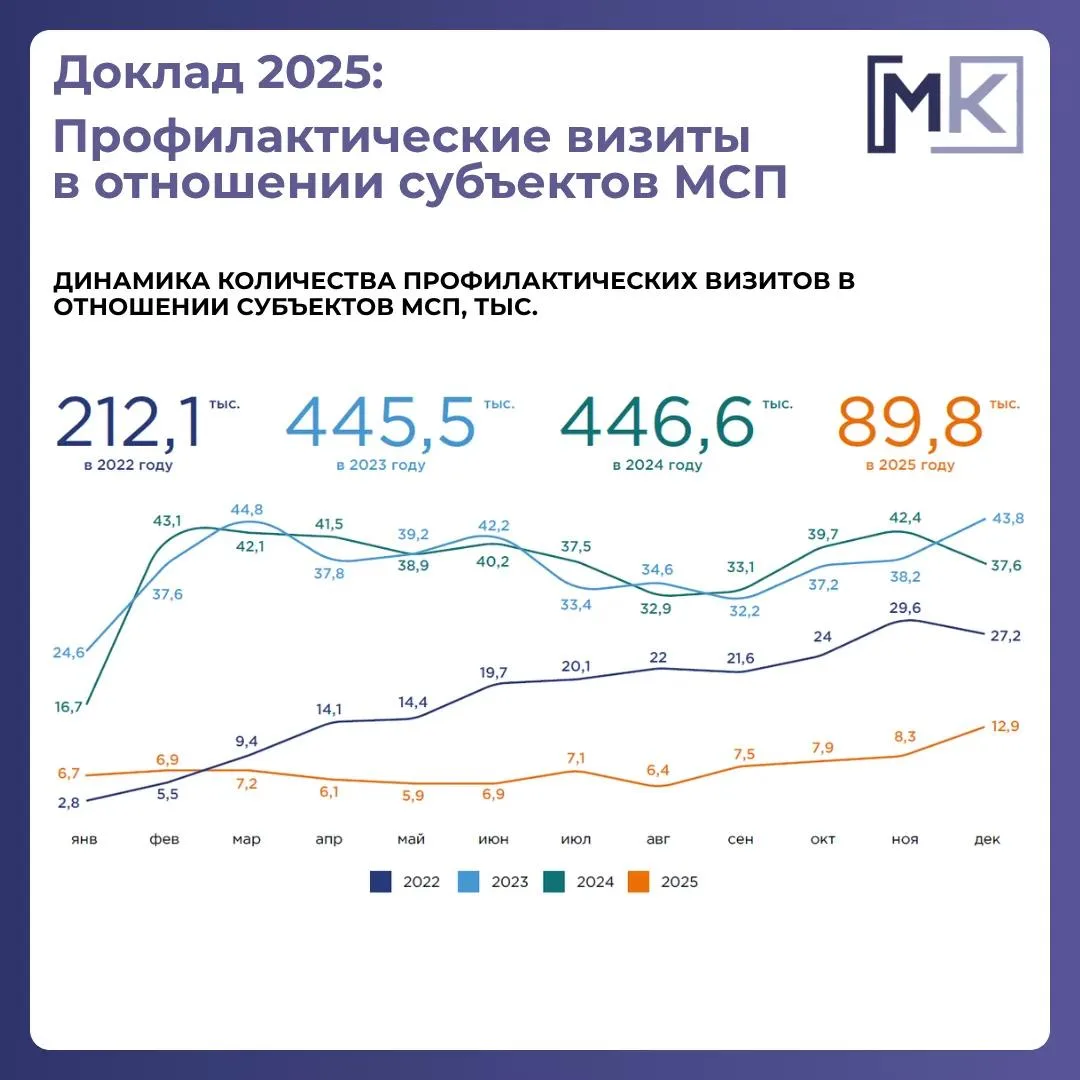 Доклад о госконтроле-2025