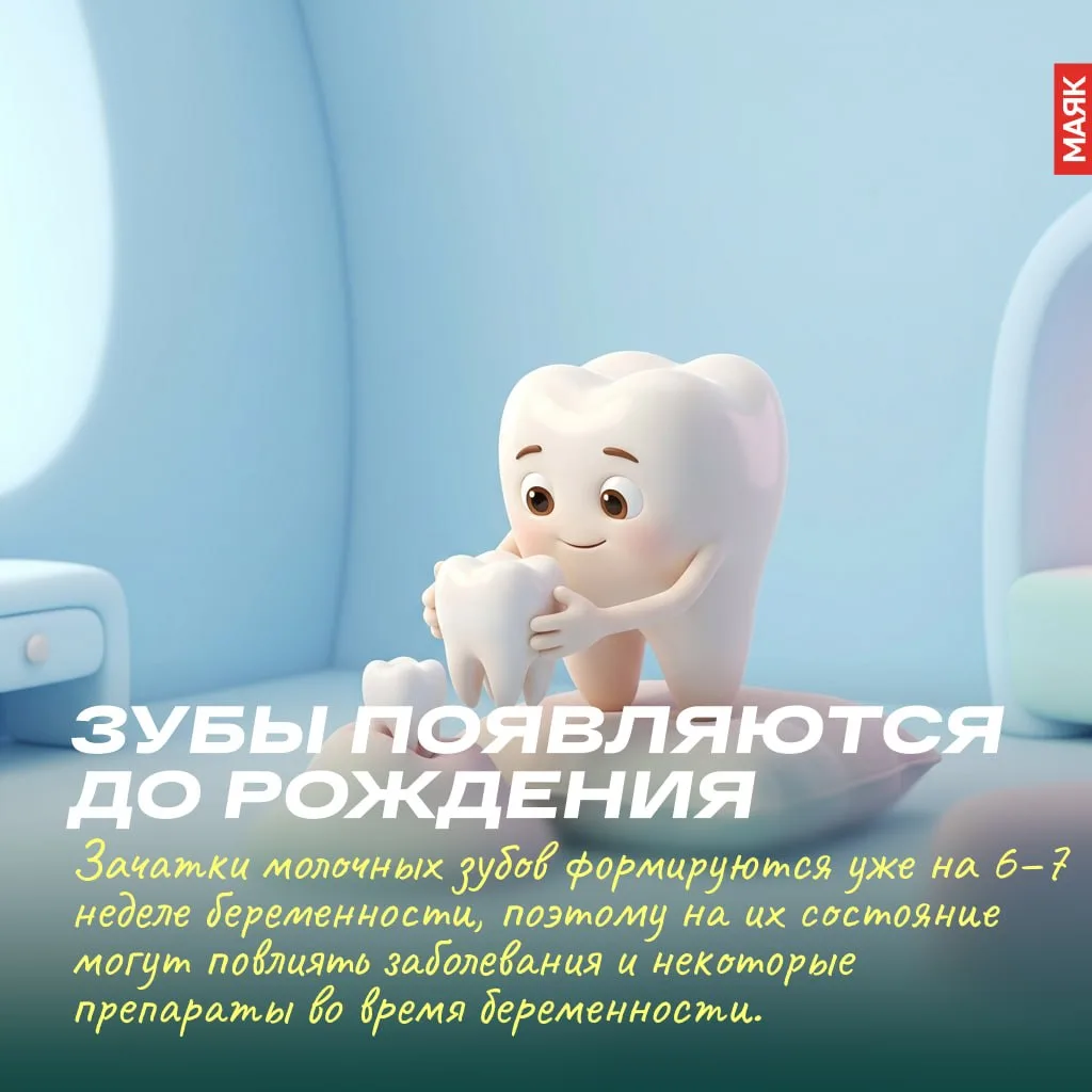 Кажется несправедливым: кожа заживает после царапины, кость может срастись после перело...