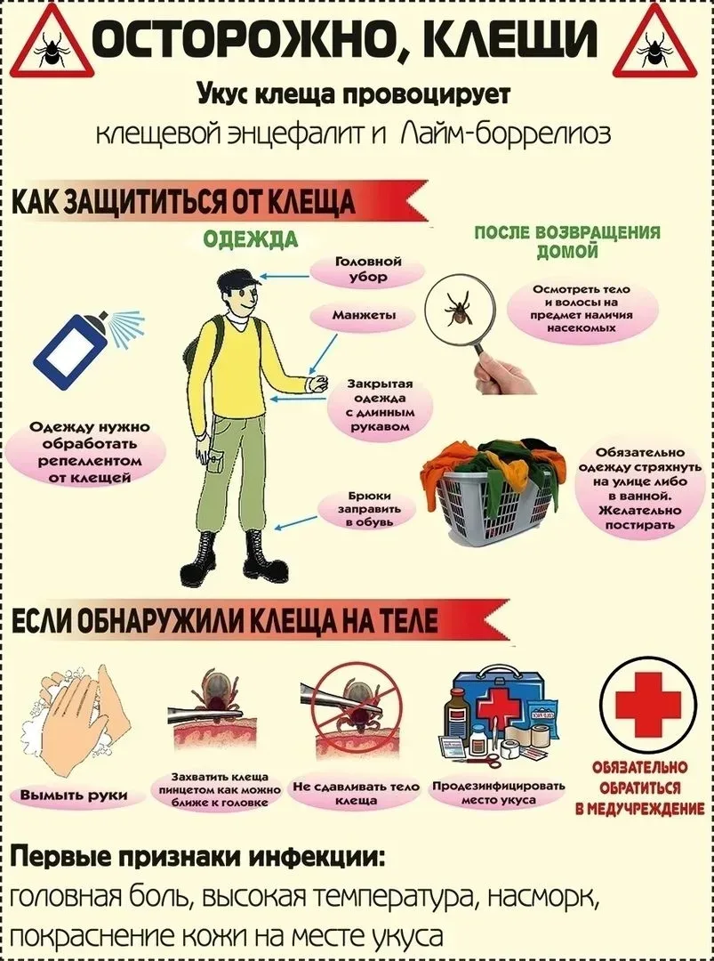 Берегите себя, соблюдайте меры предосторожности во время прогулок на природе. 🌿