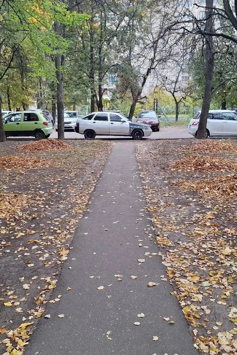 📍Ул. Полевая, 1 и пр. Мира, 10. Уважаемый, открытые пешеходные тропинки никто не отменял.