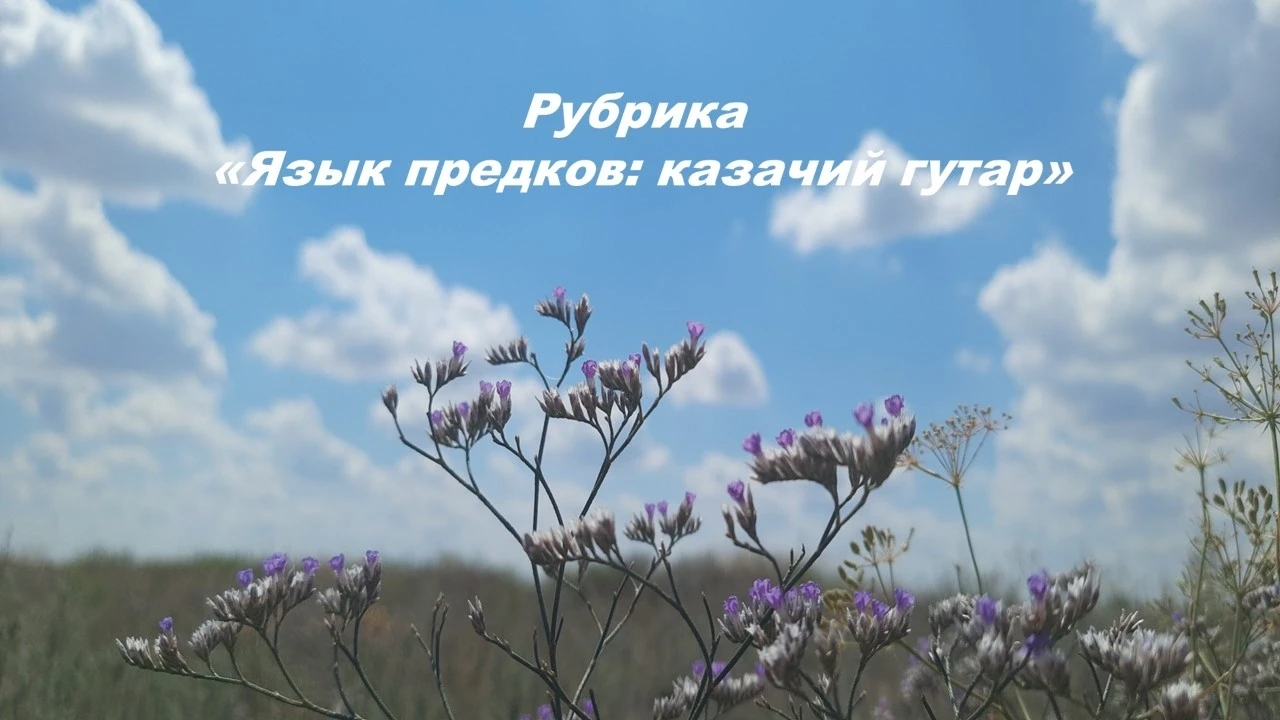 👋— Здорово дневали, браты-казаки да сестры-казачки! В эфире наша родная рубрика «Язык ...