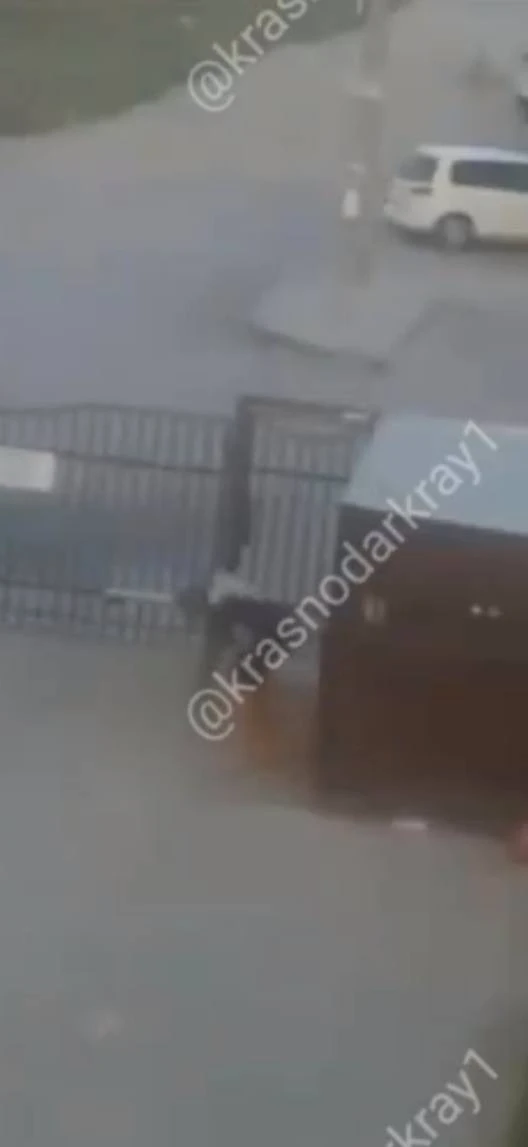 😱 В Краснодаре жильцы пожаловались на соседа, который, по их словам, избивает собаку