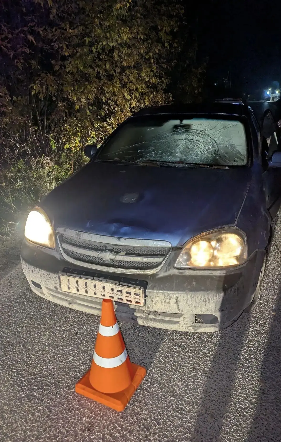 🚔Информация носит предварительный характер