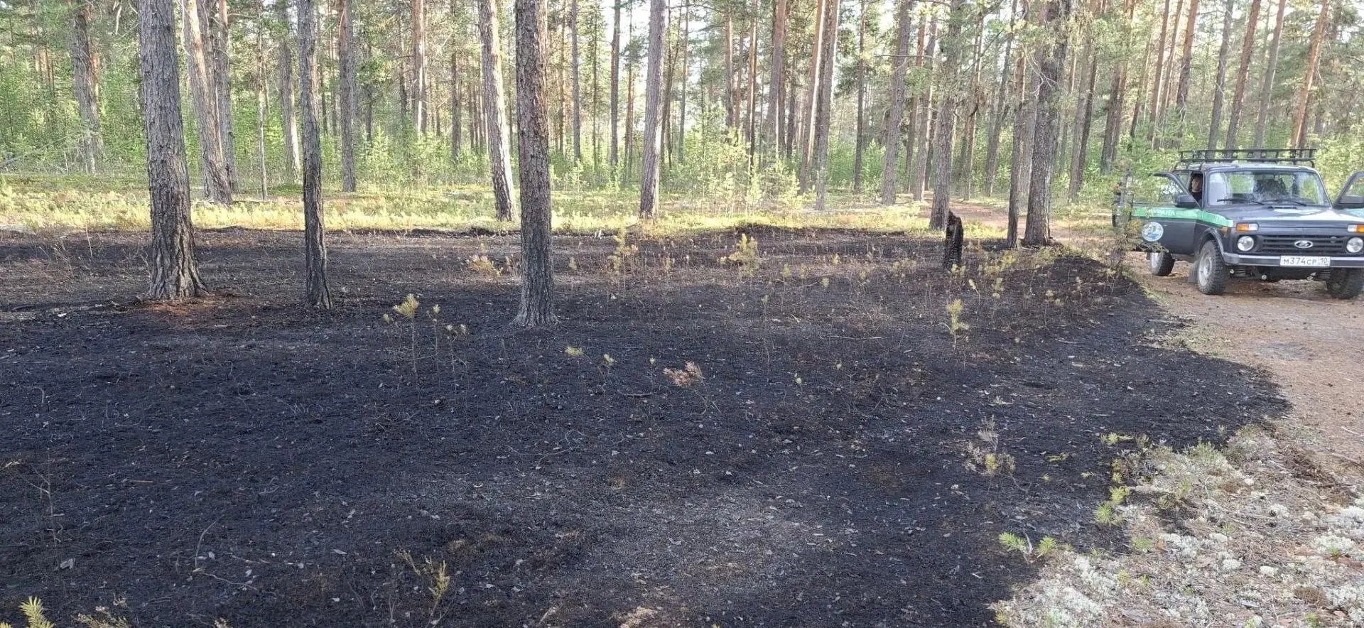 Вчера в Калевальском районе ликвидировали лесной пожар в 1,2 км от поселка Боровой. ❗Подчеркнем, угр