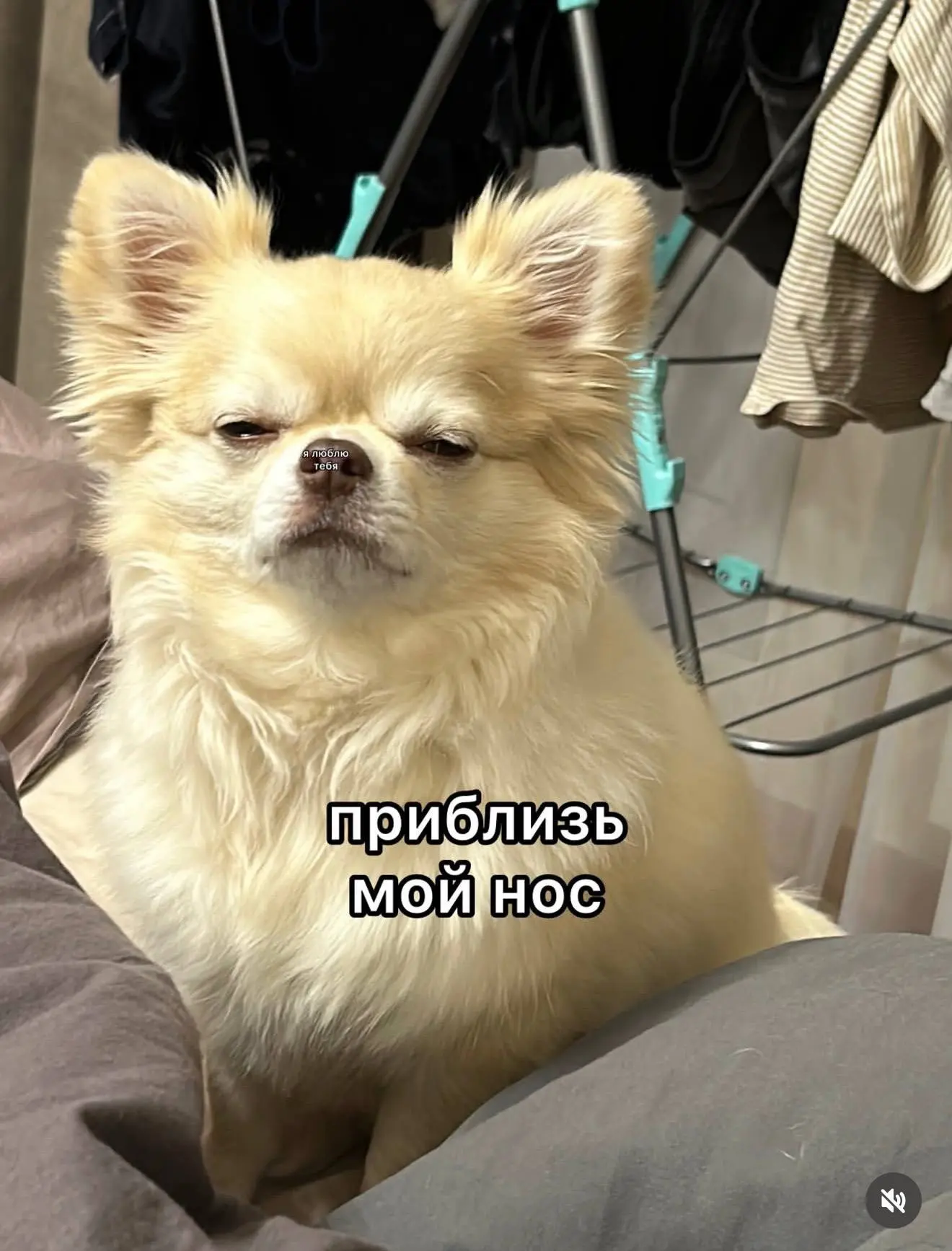 спасибо вам, девочки 🩷