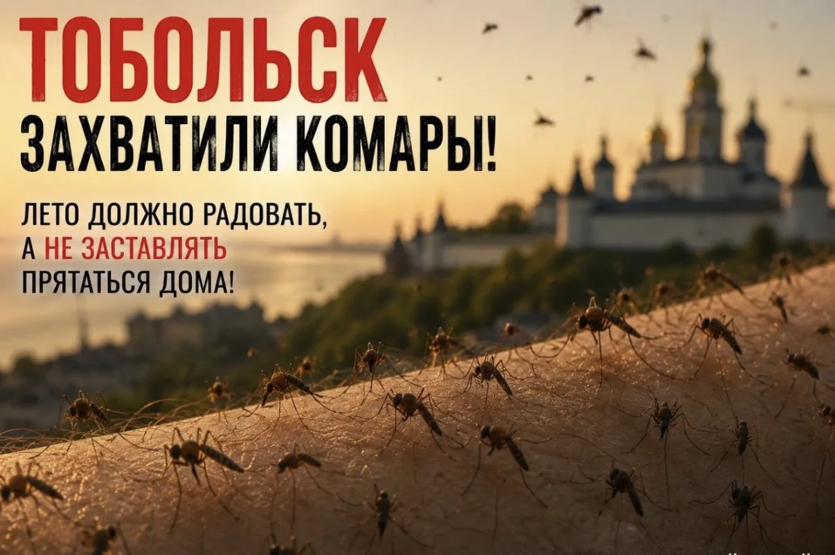 В администрации Тобольска, дали комментарий по ситуации с комарами.:

«Видим ваши обращения в соцсет