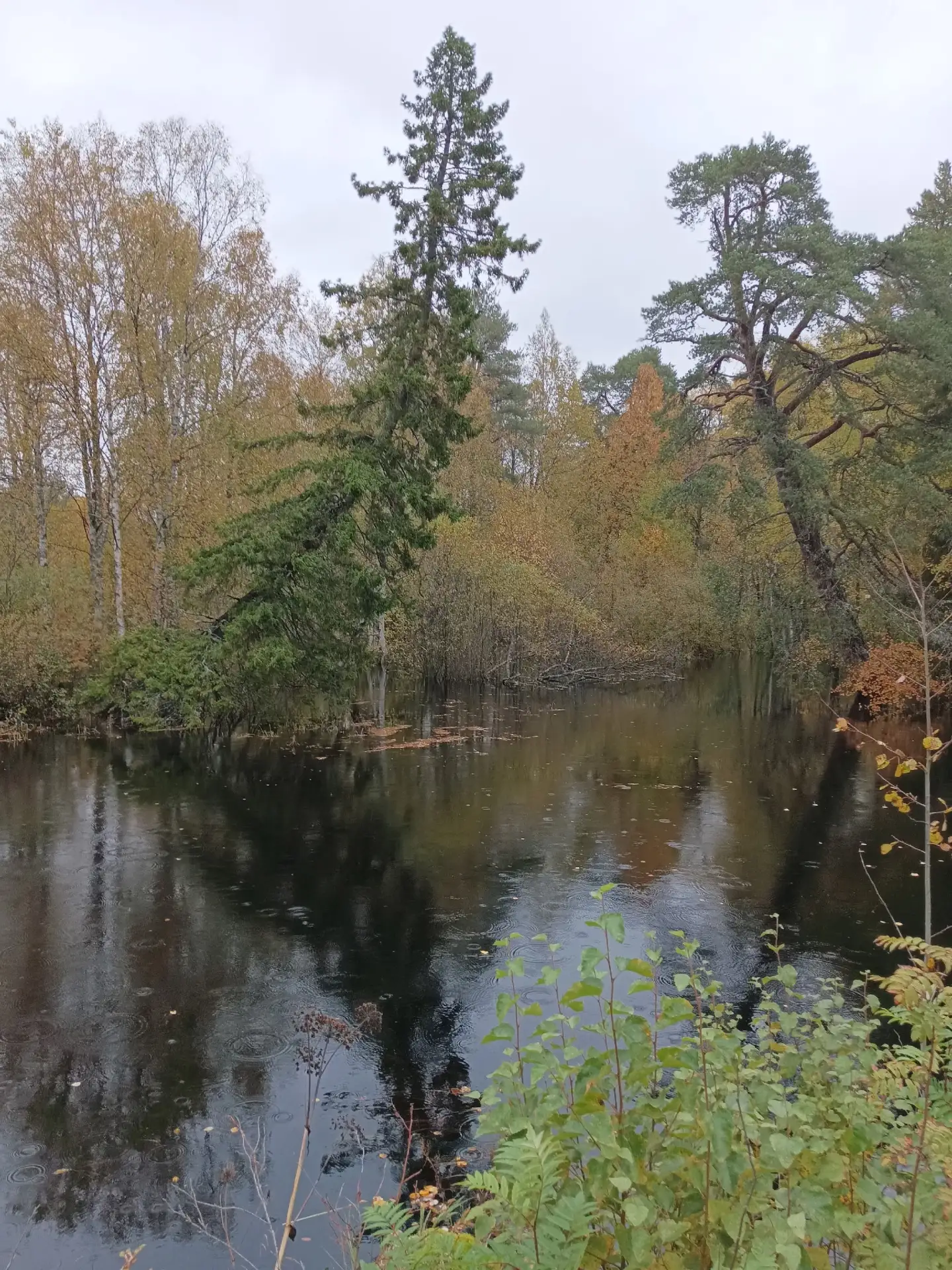 Окрестности Северодвинска 🍂