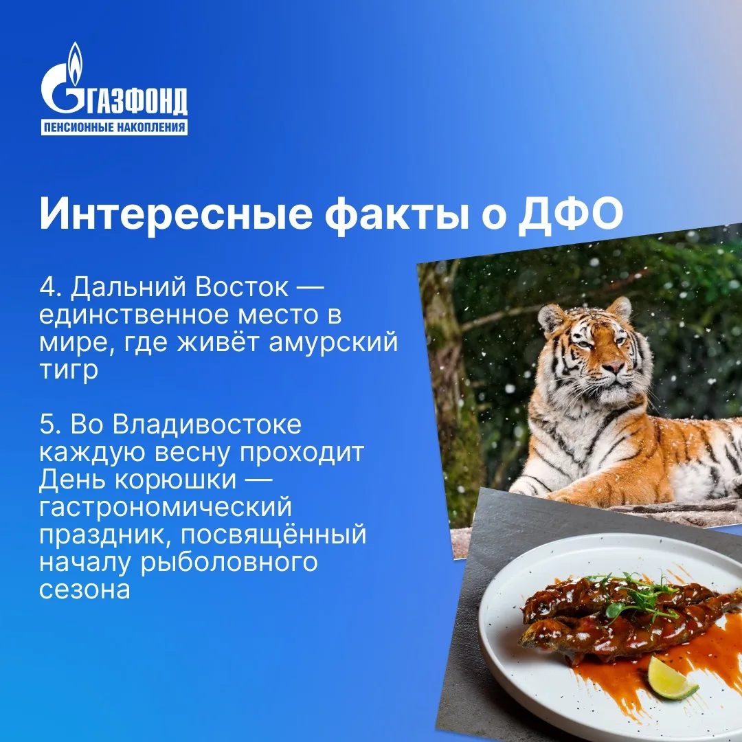 География доверия НПФ ГАЗФОНД ПН: Дальний Восток  Россия — огромная страна. Но финансовые привычки н