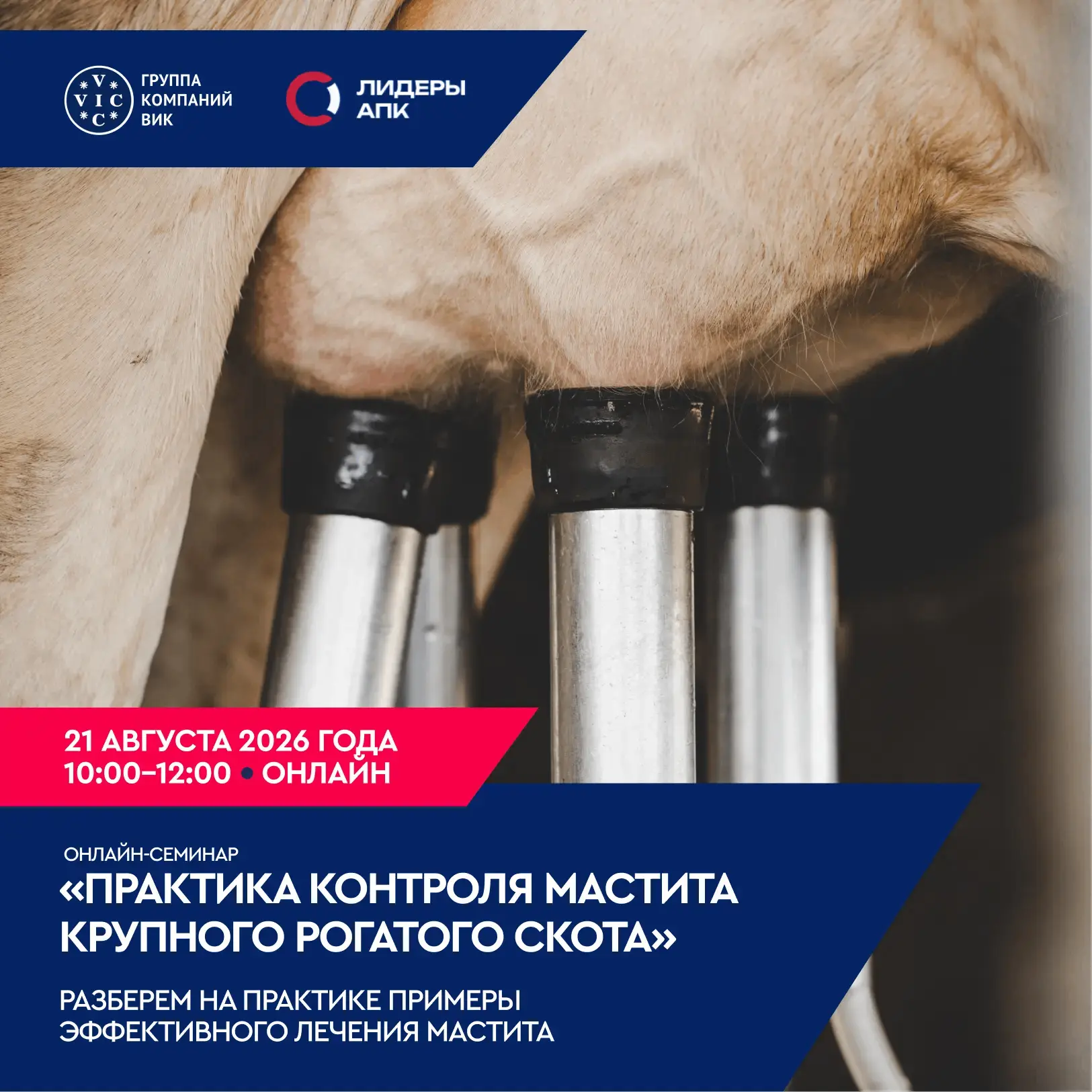 🐮Эксперты ГК ВИК делятся опытом, проверенным на животноводческих предприятиях