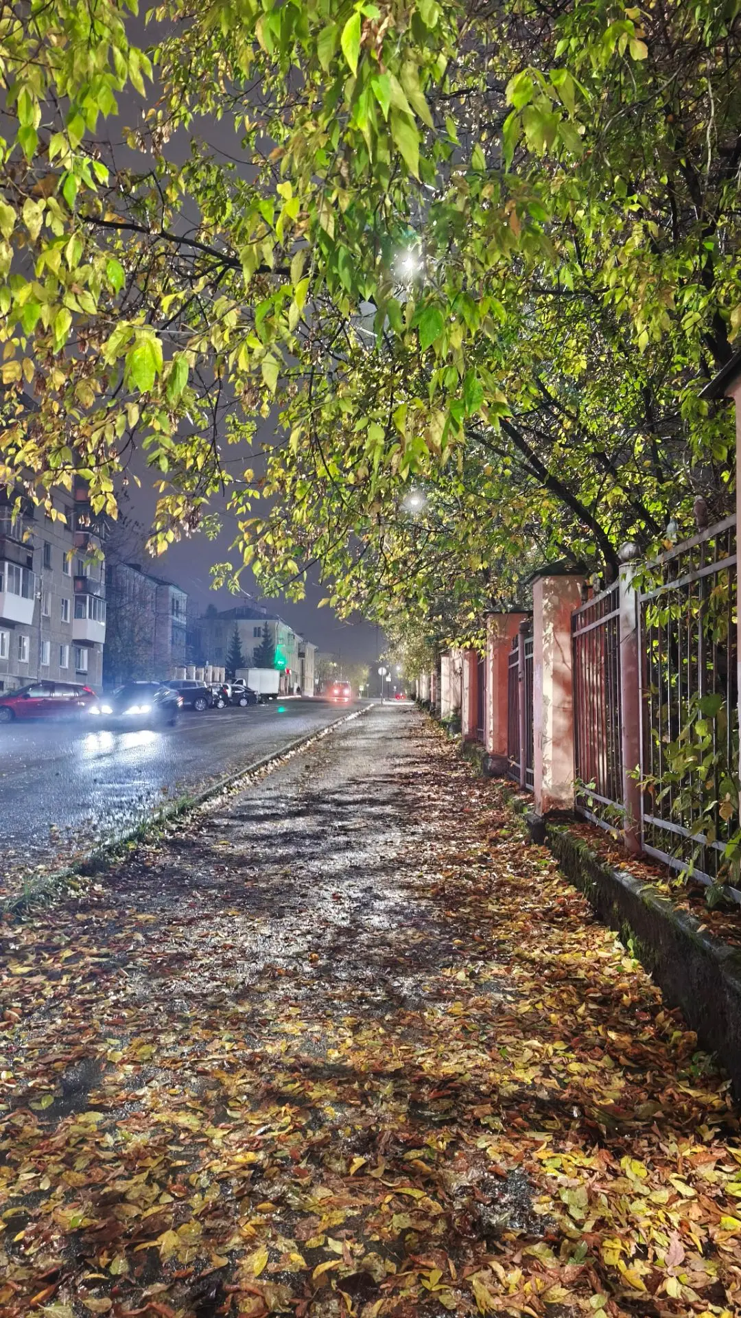 Фото: Ольга Великая ❤️