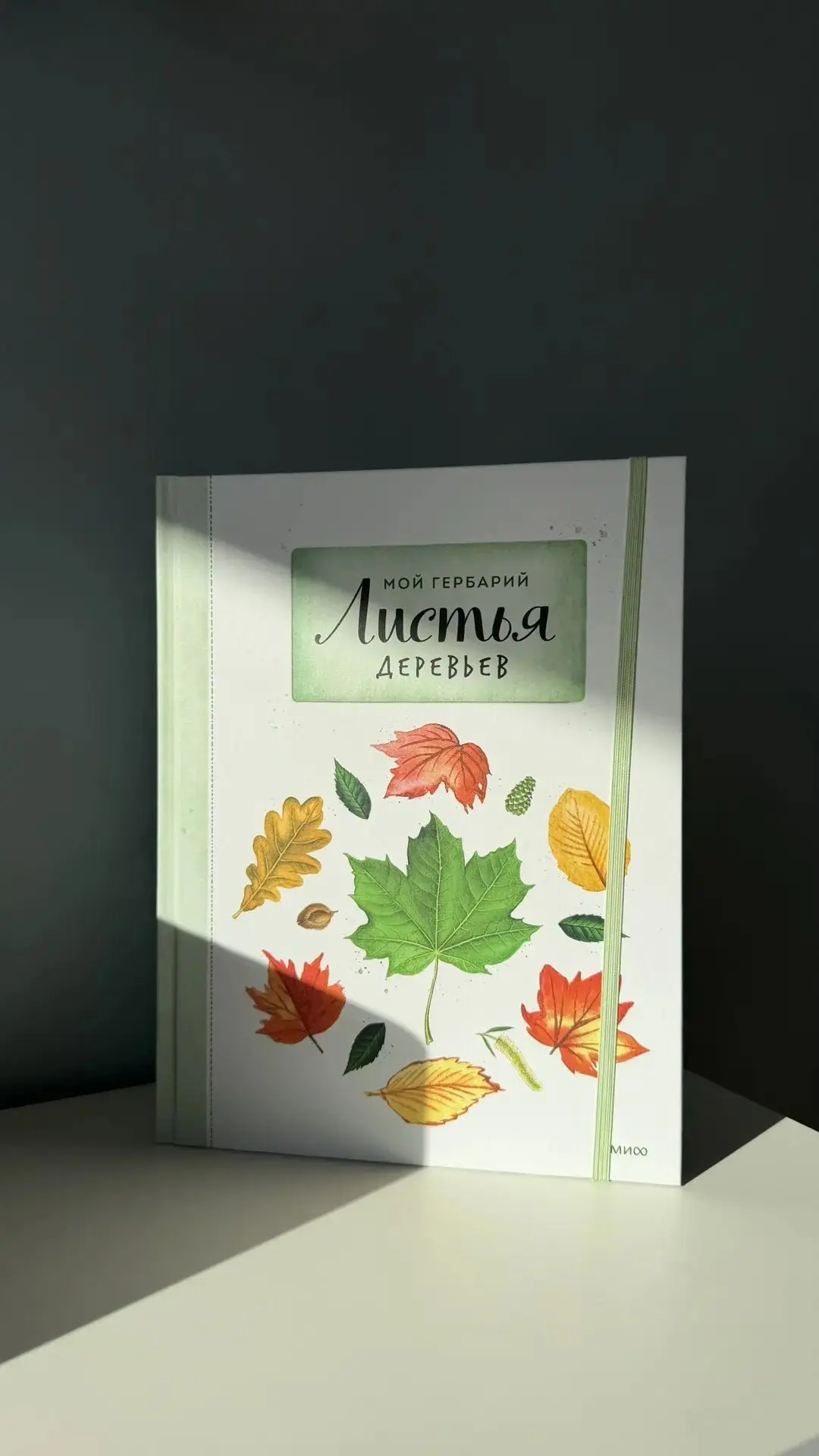 Книга, которая учит ребёнка смотреть
