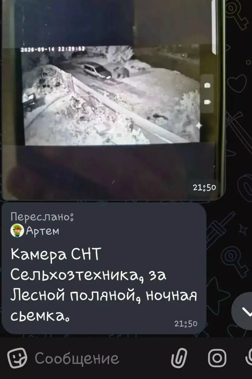 Жители деревень Бутрево и Ракино под Ярославлем требуют прогнать из населенных пунктов ...
