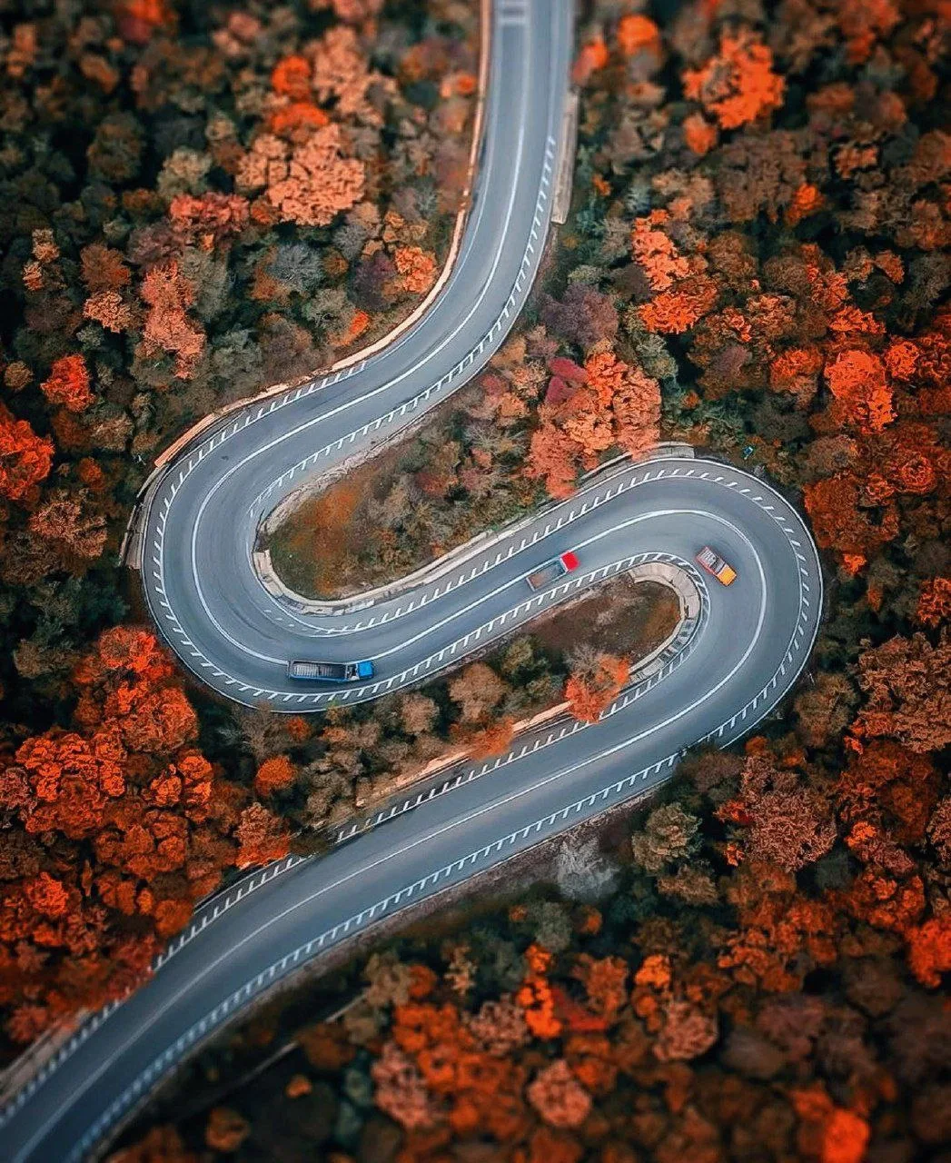 🍂 «Тёщин язык» на трассе
