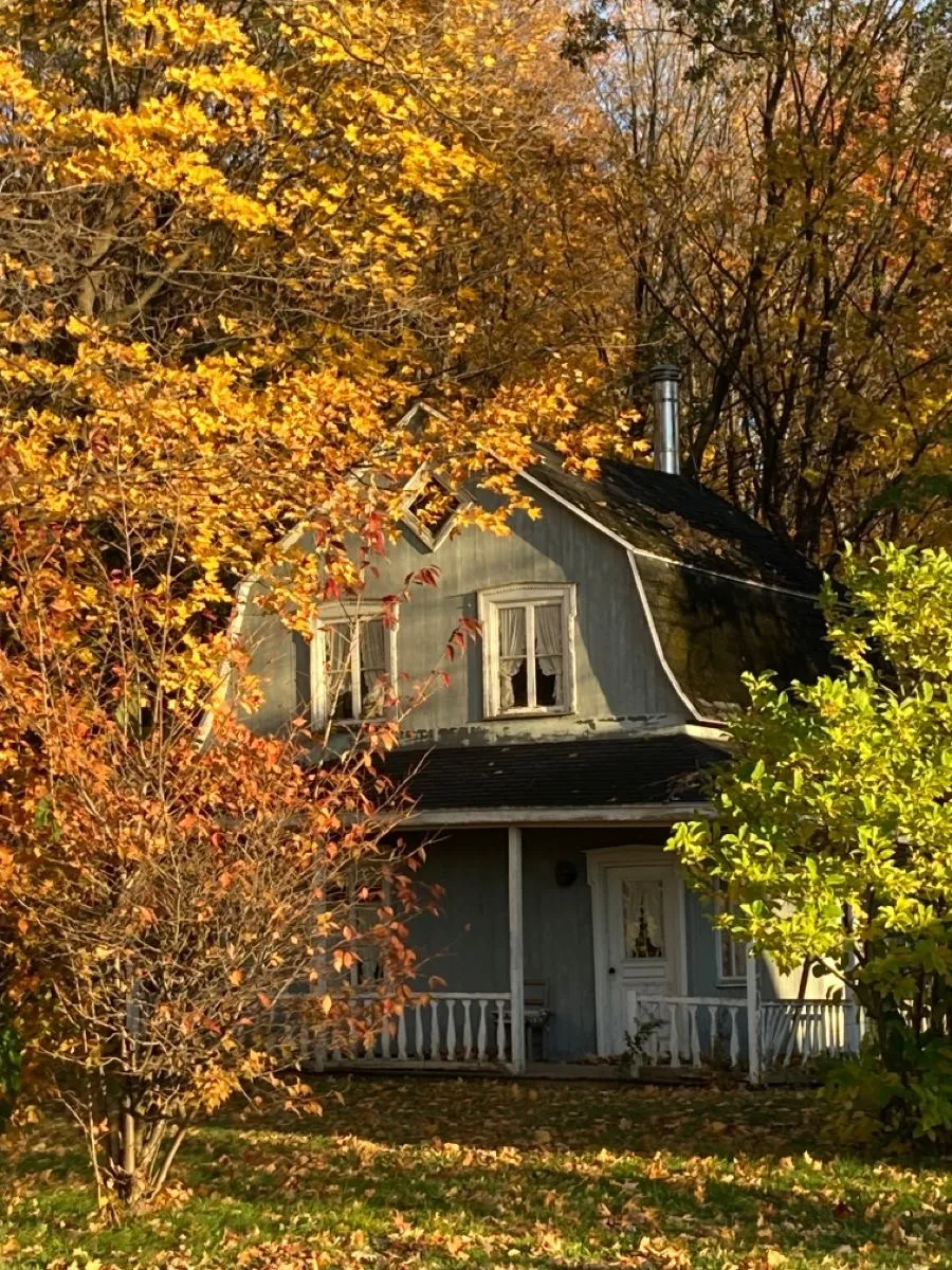 Проверьте дом до первых холодов 🏡