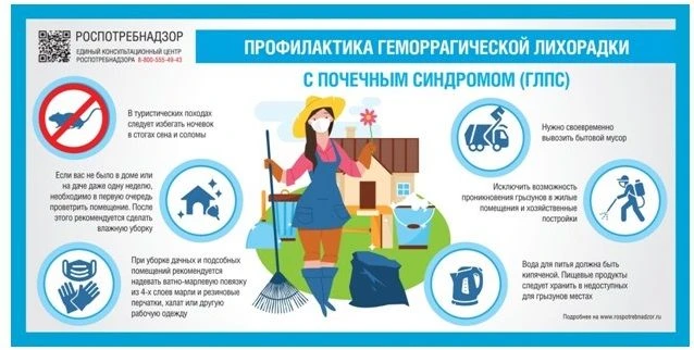 Роспотребнадзор напоминает, что геморрагическая лихорадка с почечным синдромом (ГЛПС) – острое инфек