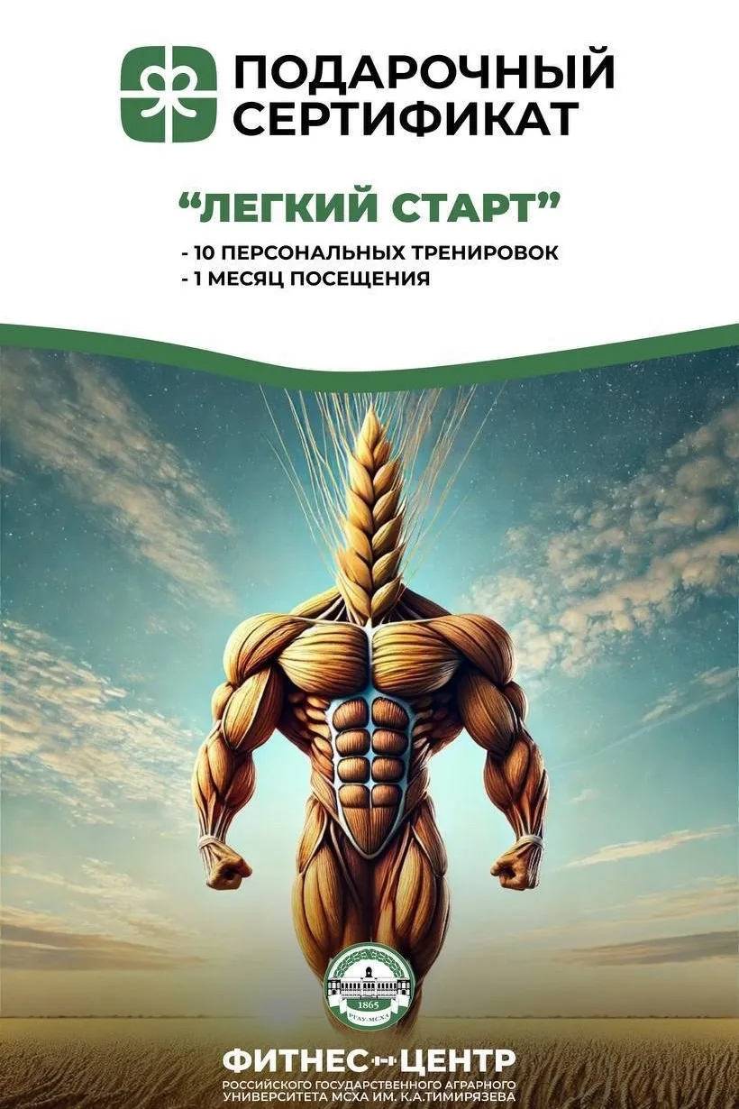 БИЛЕТ В МИР СПОРТА: СЕРТИФИКАТ «ЛЕГКИЙ СТАРТ» ✨