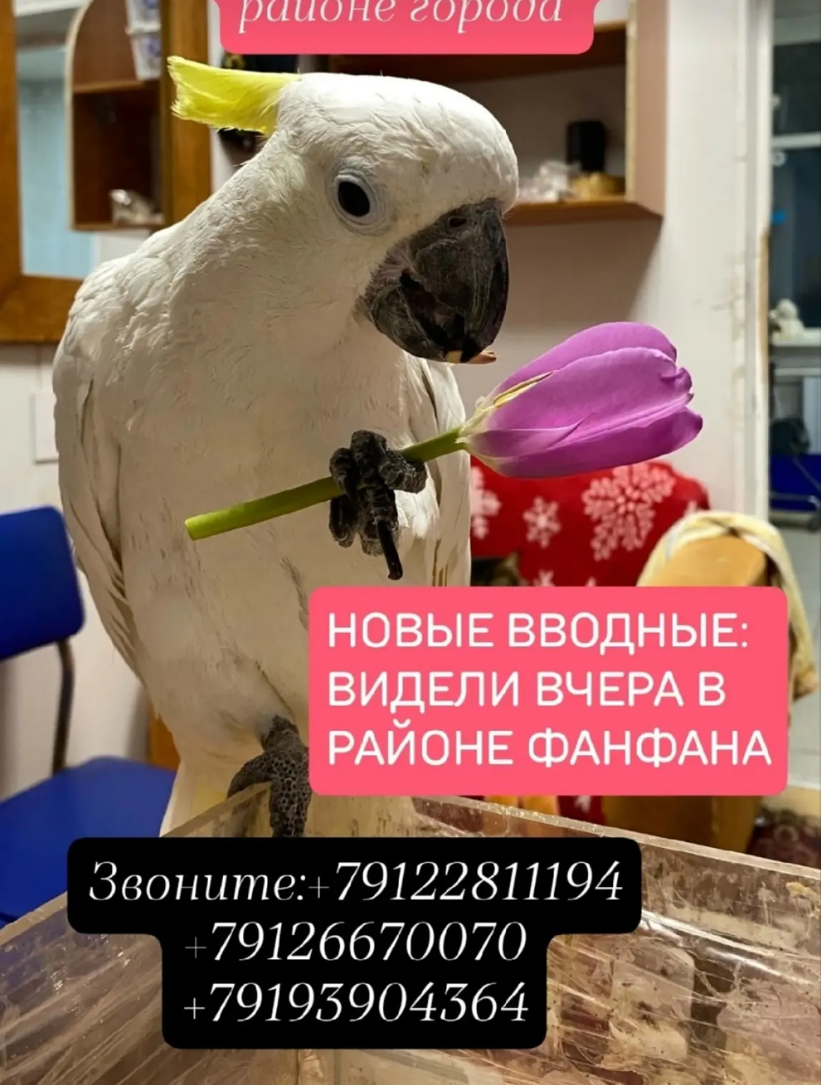 #помогаем_информационно_ЗооСпец