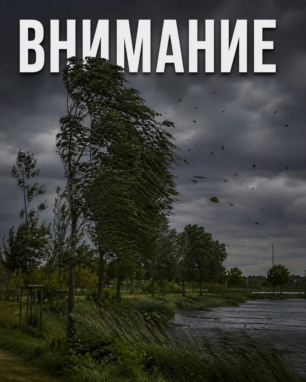 ⚠️ Уважаемые посетители парков!