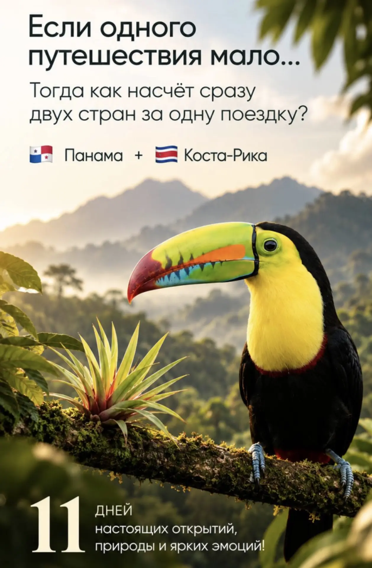 Незабываемое путешествие, где Панама и Коста-Рика объединяются в одно яркое приключение...