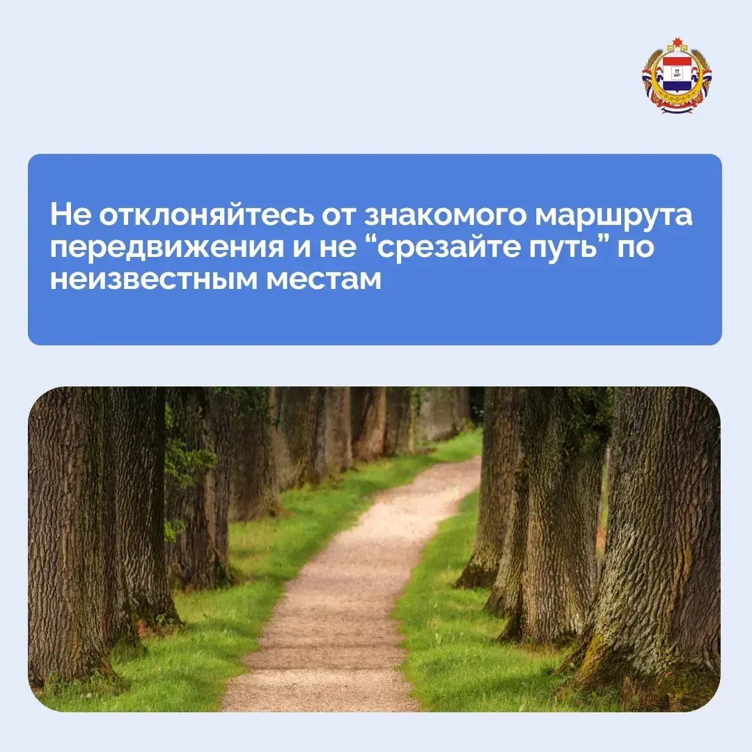 Изображение 3 к публикации «Республика Мордовия»
