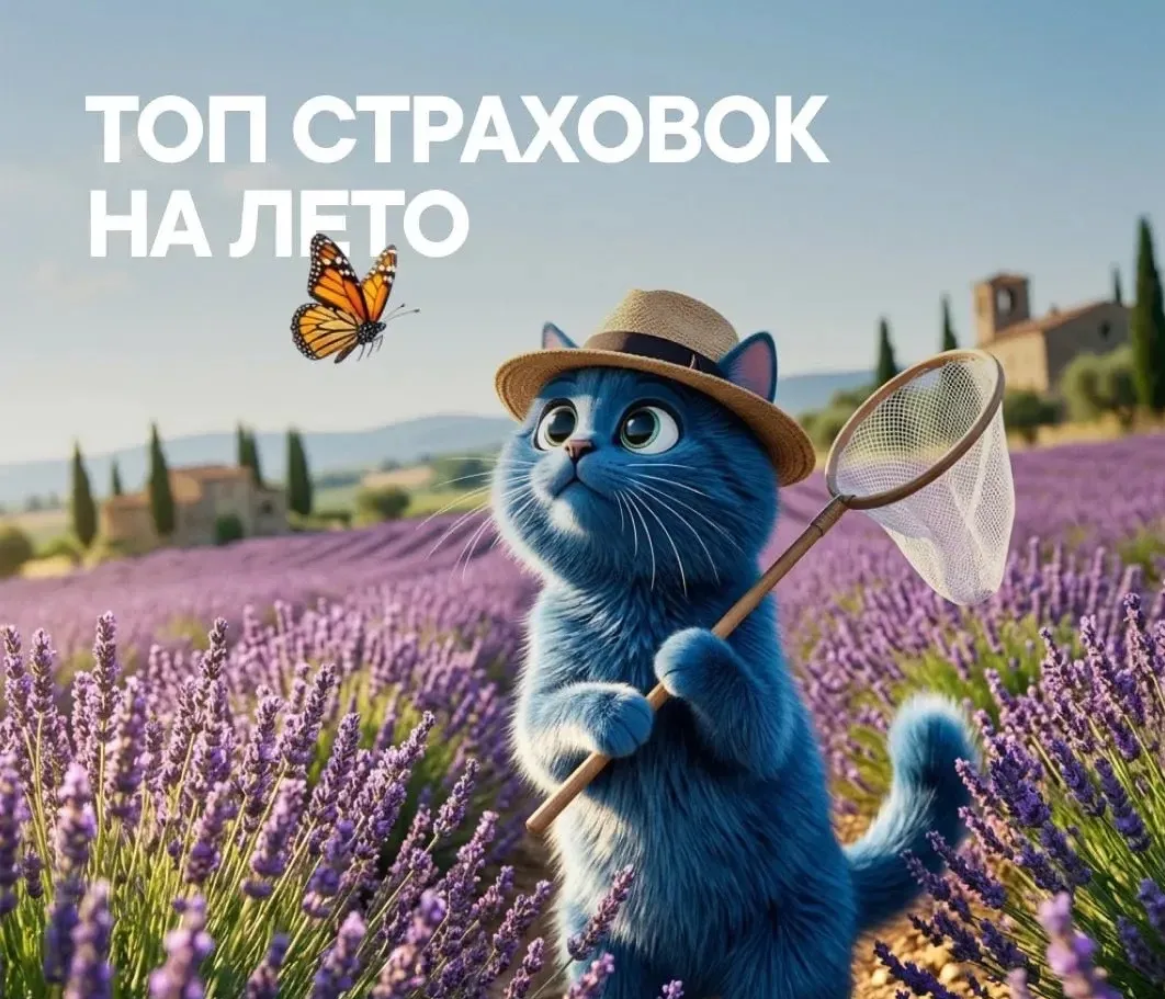 Топ страховок на лето