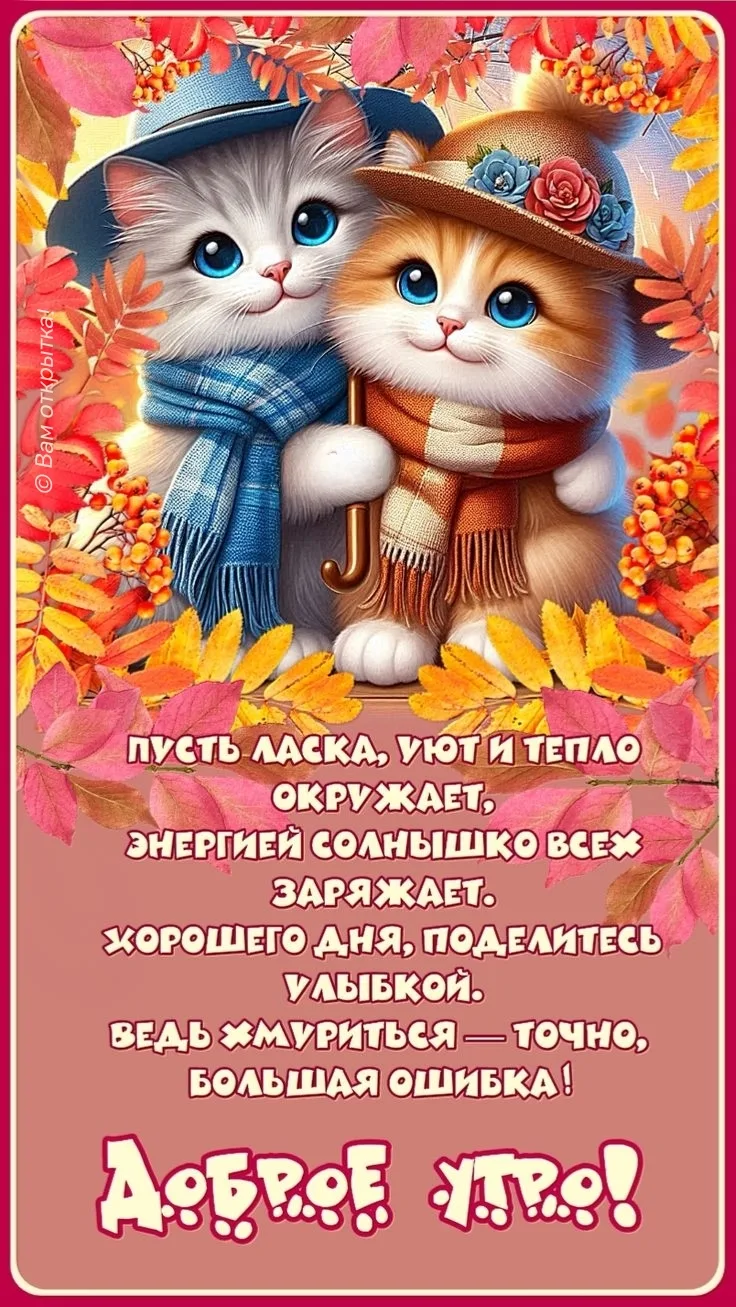 #ДоброеУтро