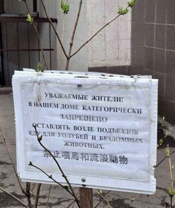 🤔 Москвичи стали подозревать, что нарушители в их дворе — китайцы.