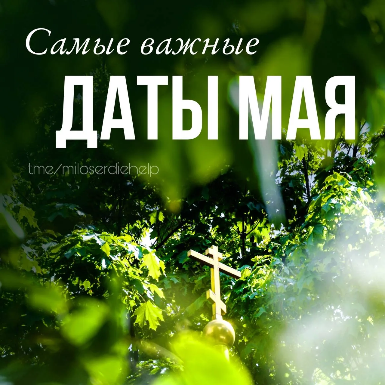 ⚡️ Начался яркий и насыщенный май. Мы собрали для вас важные майские даты, чтобы вы нич...