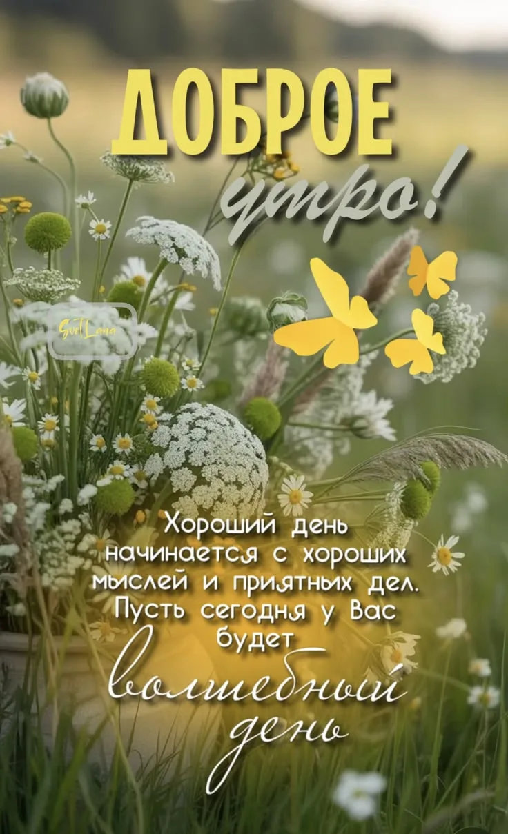 Всем доброго утра 🌞! Желаю лёгкого дня, тёплых разговоров и чтобы все дела решались бе...