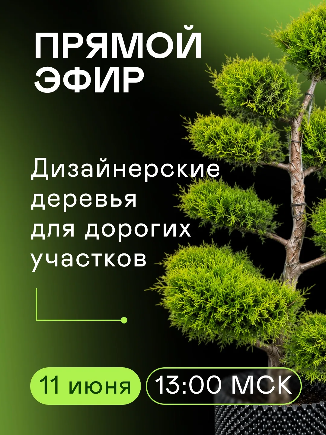 Завтра в прямом эфире покажем дизайнерские деревья. Стрим с площадки Экопланта в Москве пройдет в 13