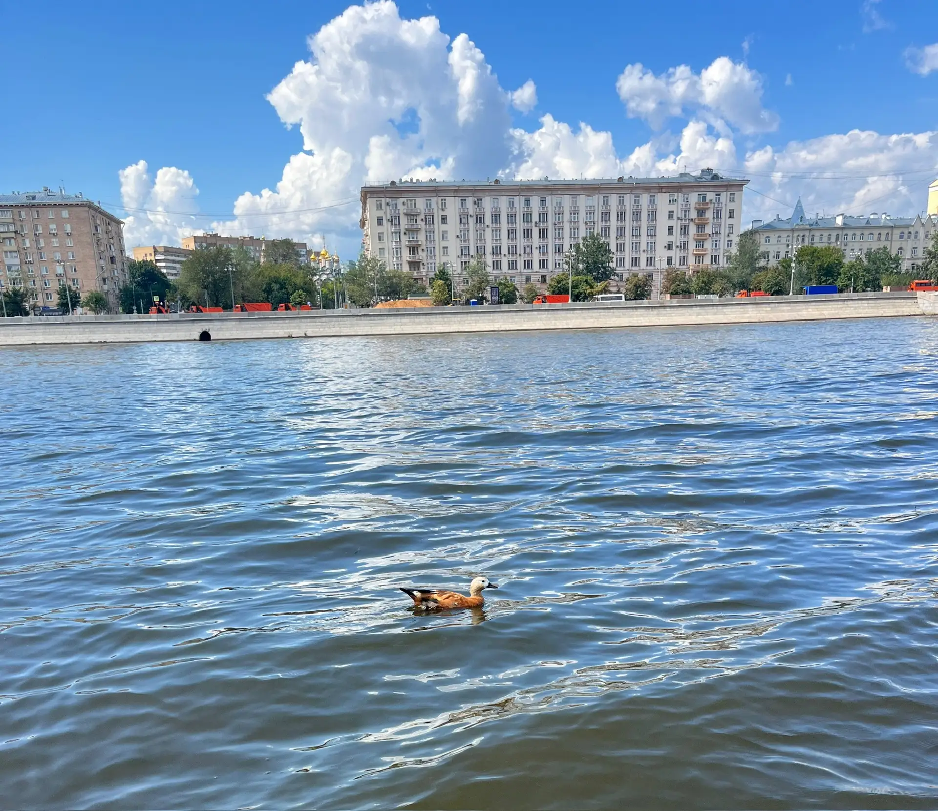 Не жди, что станет легче, проще, лучше. Не станет. Трудности будут всегда. Учись быть с...