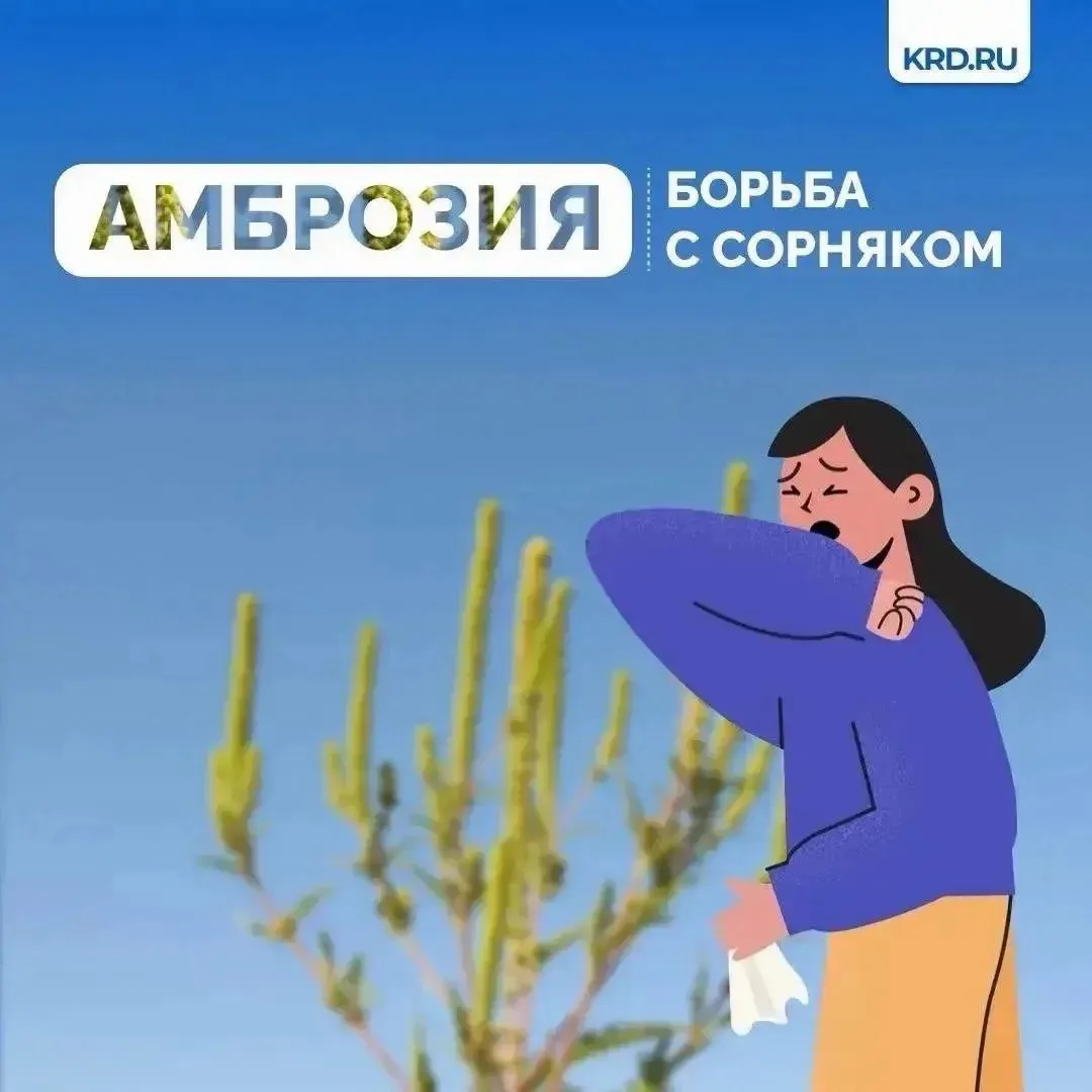 🌿 Установившаяся тёплая погода является благоприятными условиями для роста карантинной...