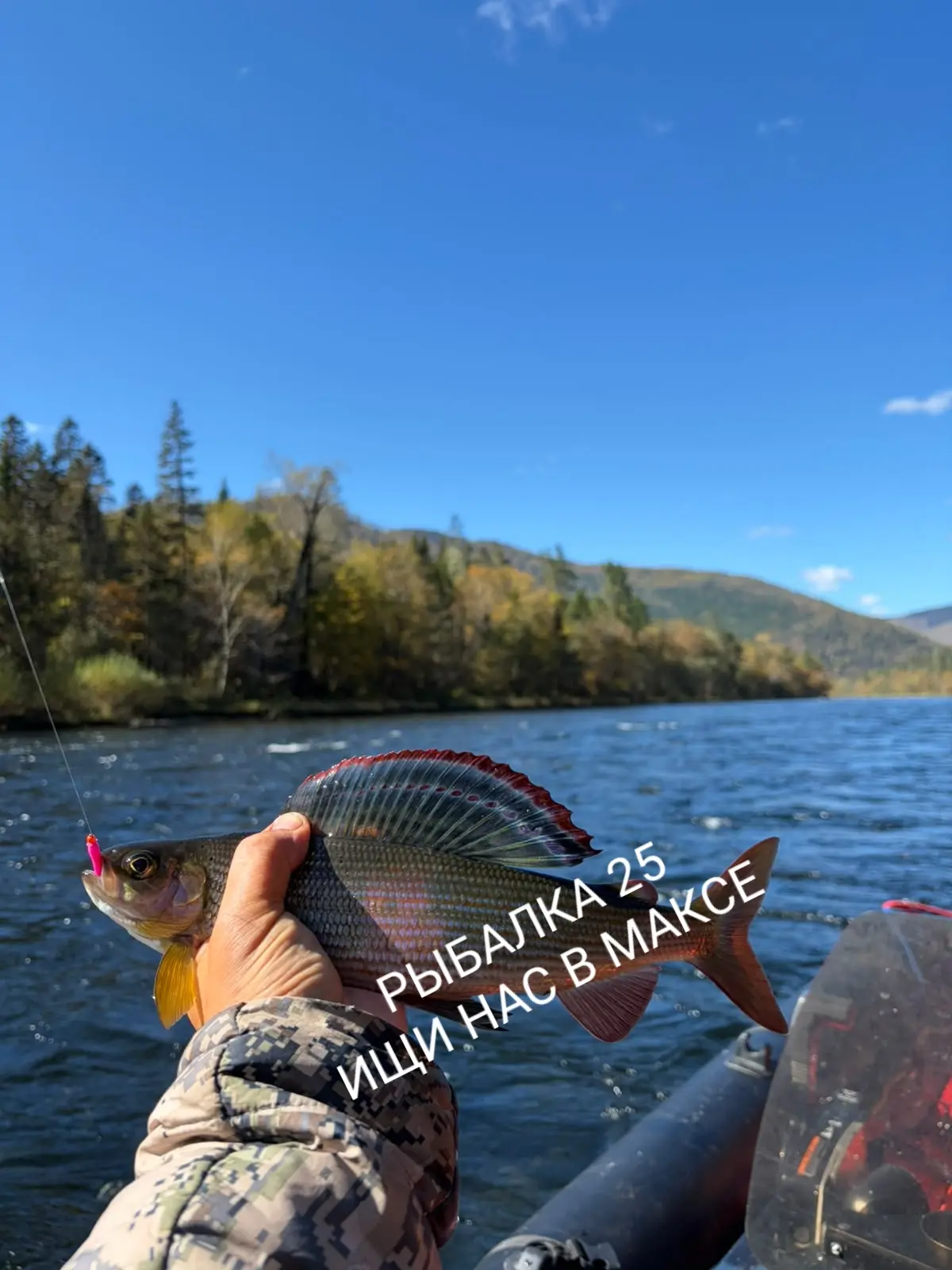 ❗Создали чат 🎣🐟