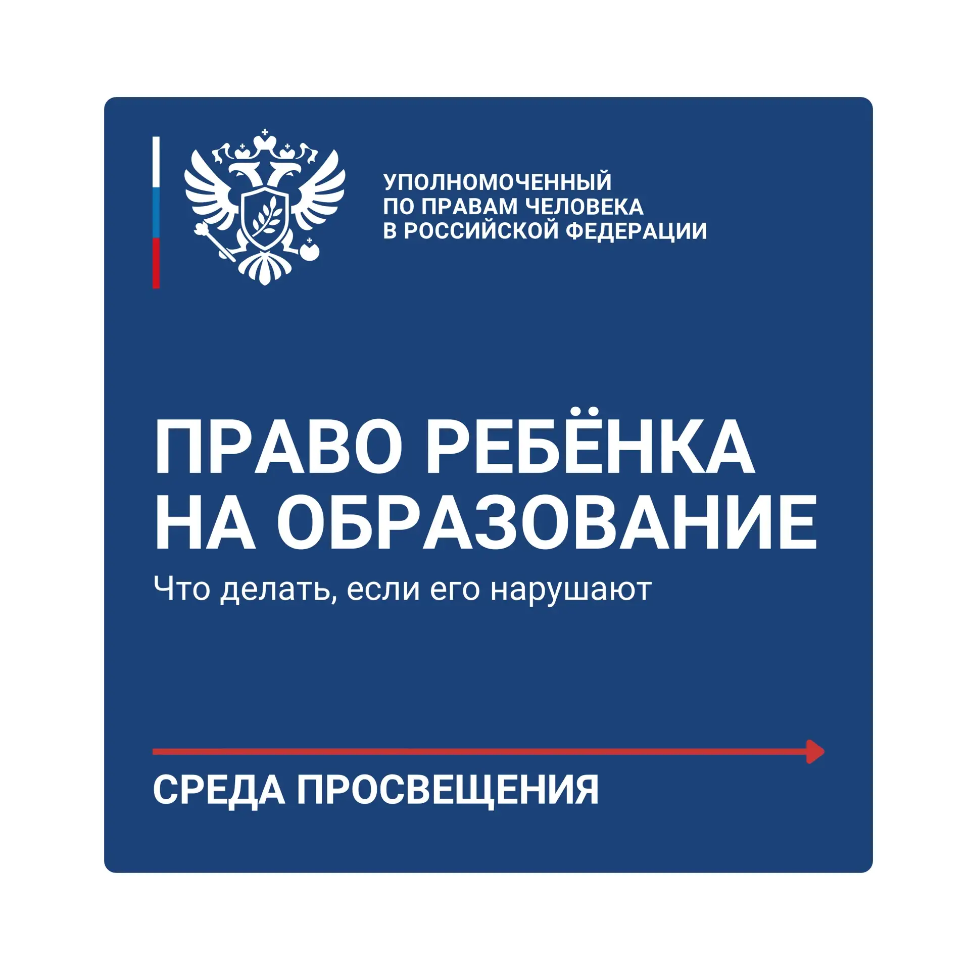 Скоро в школу: что важно знать о правах ребенка