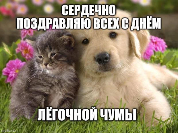 Готовимся к отбою)