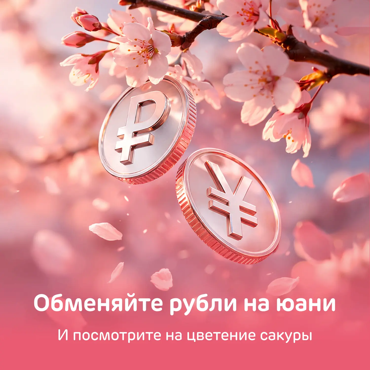 Вы знали, что в Китае тоже цветёт сакура? А ведь приехать в Поднебесную стало проще 😉  Главное, не з