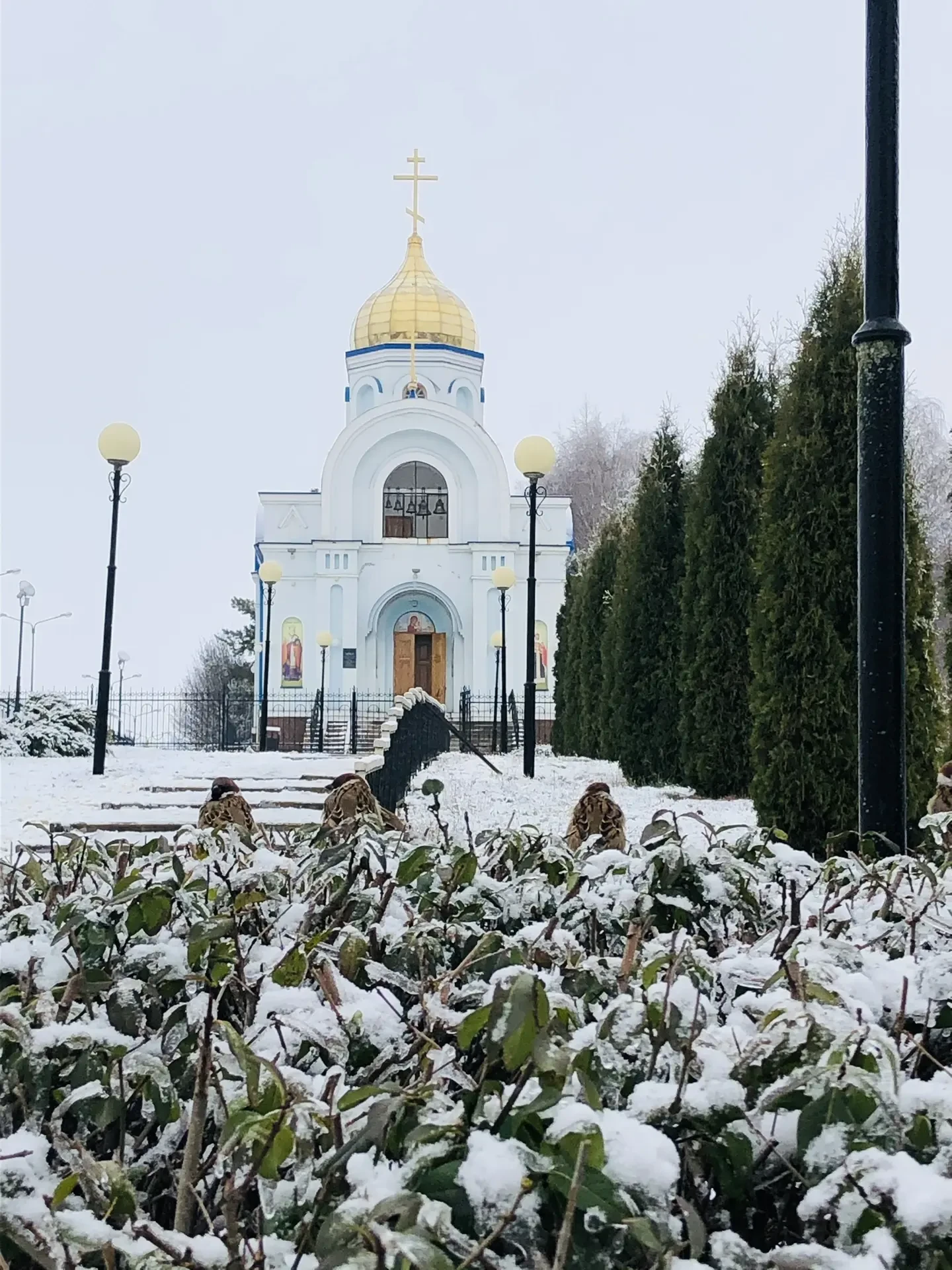 ☀️Доброе утро!

Сегодня в Красной Яруге облачно, +22°С. С 12:00 до 17:00 возможен дождь. Ветер слабы