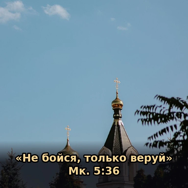 📖 «Не бойся, только веруй» (Мк. 5:36). Страх редко бывает добрым советчиком, а вера де...