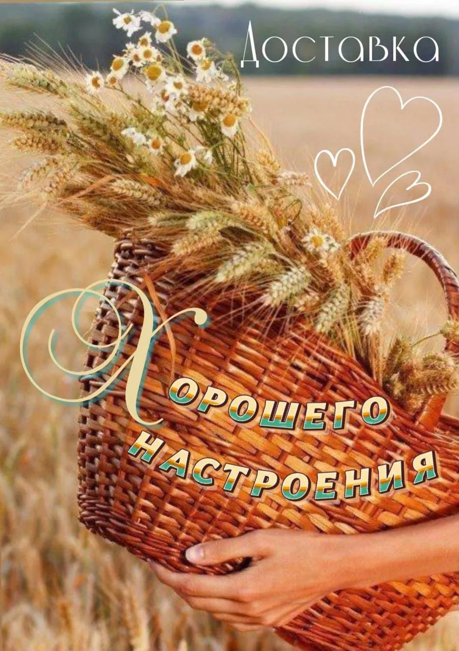 Женские открытки💝