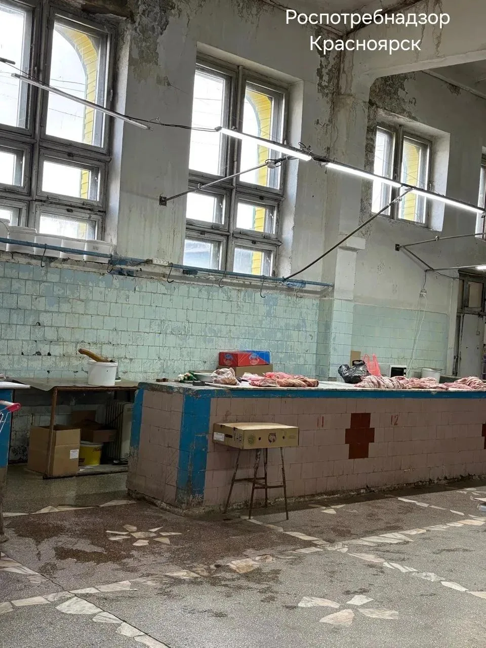 В торговом здании Ачинского РАЙПО обнаружили грязь и мышь: работу организации запретили на 60 суток
