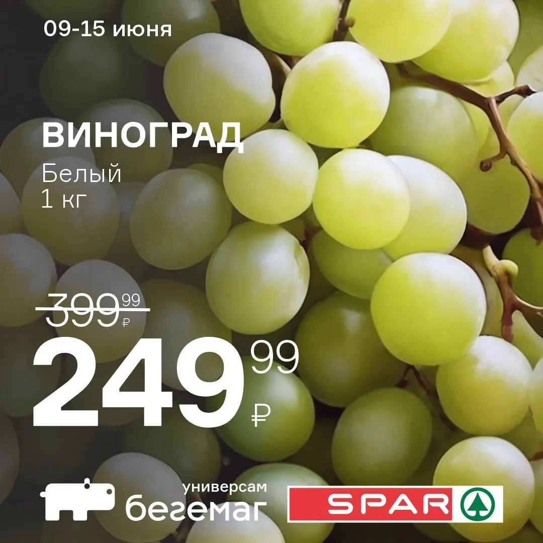 🍉 Лето на тарелке - по суперцене! ☀️