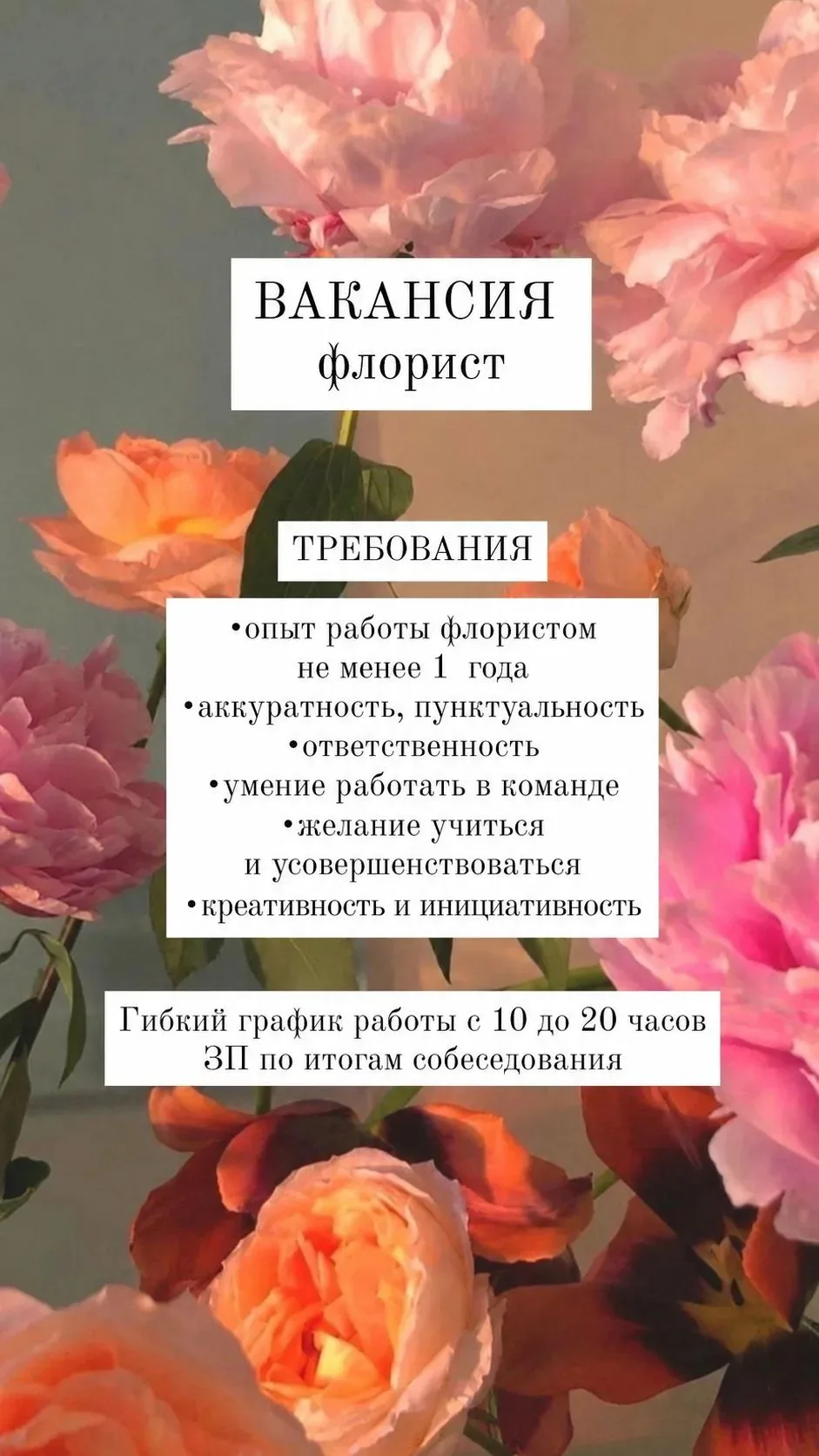 Друзья, у нас открылось несколько вакансий 🌿