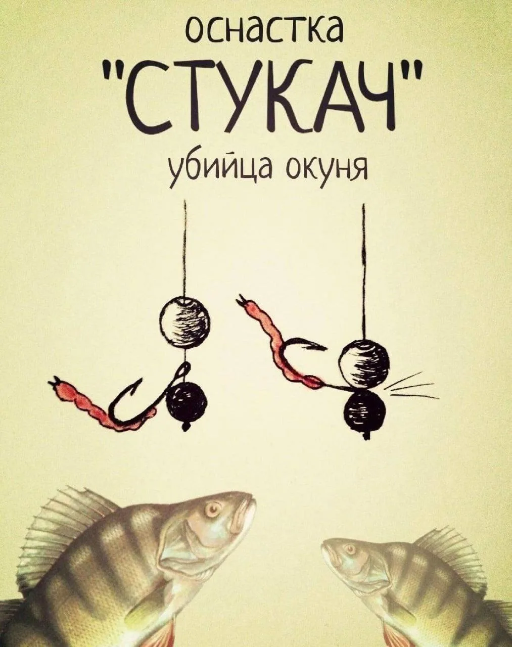 Стукач на окуня❗️