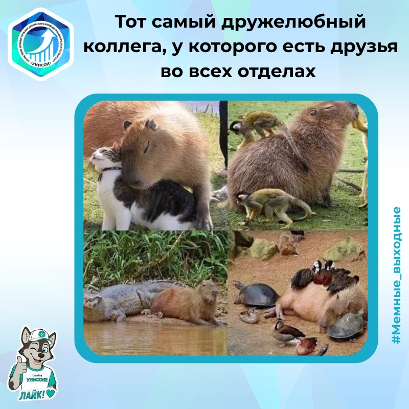 🌚 Делитесь вашими любимыми мемами, смешными картинками и видео в комментариях!
