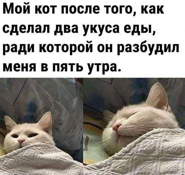 ВИШНЯ 🍒
