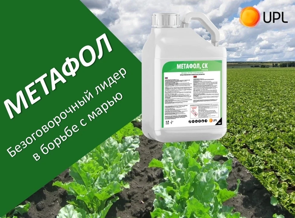 Золотой стандарт свекловода!