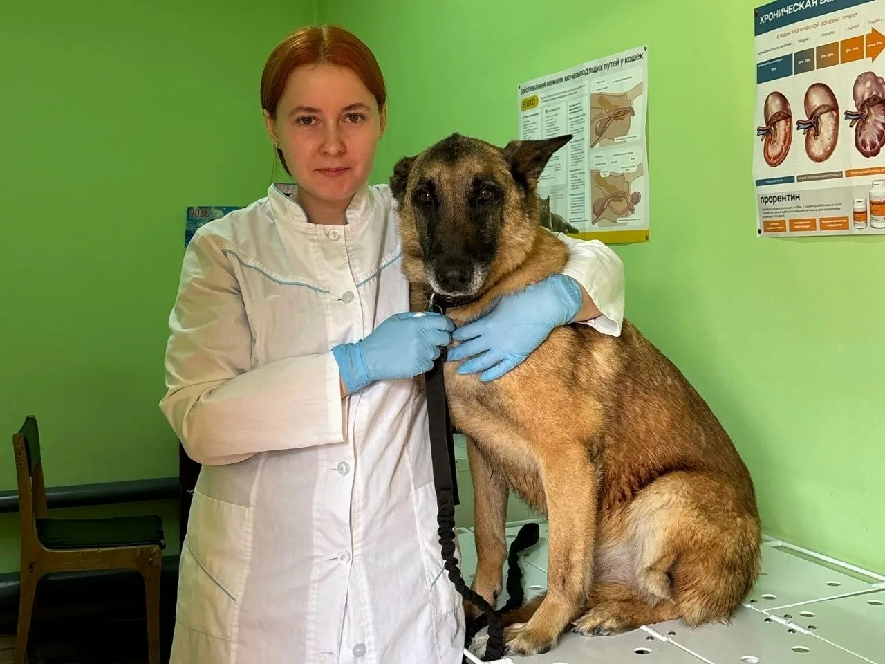 31 августа в России отмечают День ветеринарного работника. В честь этого праздника мы п...